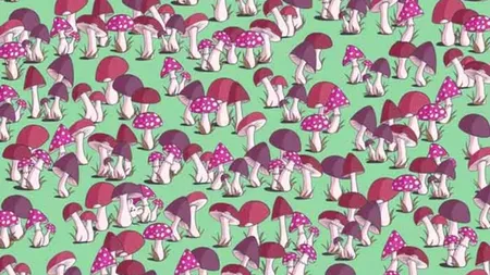 Numai cei cu vedere de șoim și IQ ridicat pot identifica animalul ascuns. Ai 7 secunde la dispoziție