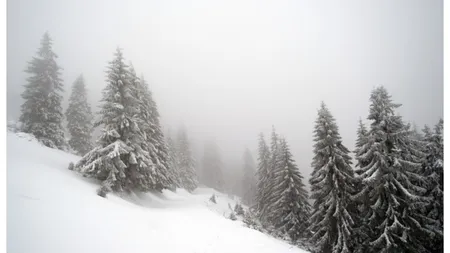 Avertizare meteo. COD GALBEN de viscol la munte și vânt puternic în restul țării. Cum va fi vremea în București