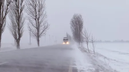 Prognoza meteo. Vremea întoarce foaia, e COD GALBEN și PORTOCALIU de vânt, viscol și polei. Este vizat inclusiv Bucureștiul