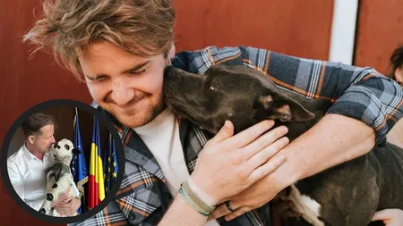 Dacă iubești animalele, nu face asta! Gestul banal care te poate costa 12.000 de lei amendă în România!