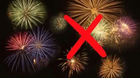 Interzis la artificii! Decizia radicală dintr-o țară UE după valul de victime umane și animale