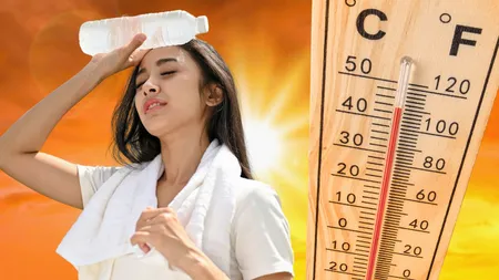 Căldura riscă să ucidă cu 50% mai multe vieți în Europa până în 2100. Se preconizează 80.000 de decese suplimentare pe an