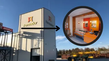 Investiția care dă restart economiei din Nord-Est. Noua fabrică de milioane de euro angajează pe bandă rulantă!