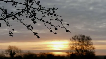 Vreme neobișnuită în minivacanța de 24 - 26 ianuarie. Prognoza meteo actualizată