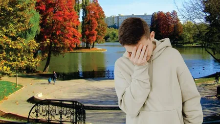 Catastrofa verde din București. Parc distrus de noii proprietari care taie toți copacii în câteva zile