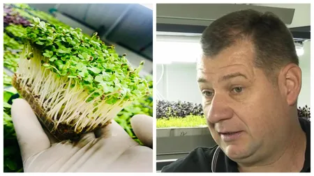 Cum a reușit un român să dețină cea mai mare fermă de microplante din vestul țării. Avem parteneri care sunt super mulțumiți și fericiți