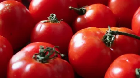 Roșiile românești din primăvara acestui an vor fi cele mai scumpe din lume! Preț uriaș la producător