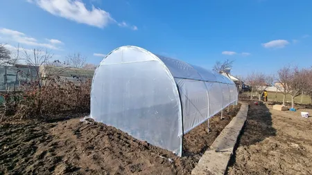 Ce lucrări se pot face în grădină în februarie. Poţi începe deja plantarea unor legume