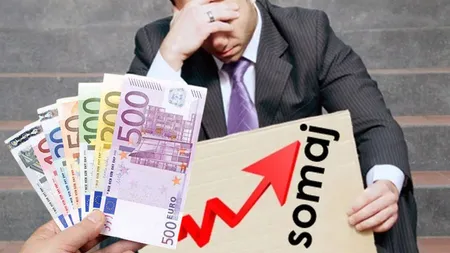 Șomajul mondial la minim istoric. Cum a rămas stabil la doar 5% într-un an plin de provocări!