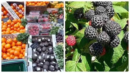 Noile ciudățenii apărute în piețele din România. Pepenele cu gust de coniac, zmeura neagră, spanacul urcător de Malabar, soiurile care fac furori printre români