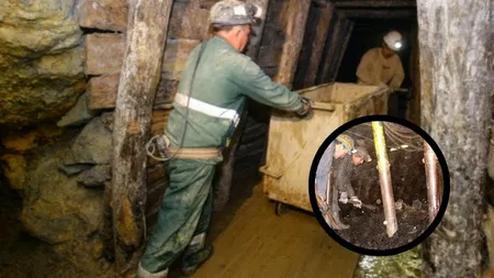 Descoperirea uluitoare a unui miner din Gorj. Aur ascuns la doar 25 cm adâncime, în pădure!