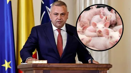 Ministrul Agriculturii promite dezvoltarea sectorului de creștere a porcilor în România