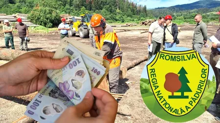 Pensie de lux și job la stat! Cum se îmbogățesc angajații Romsilva pe banii contribuabililor