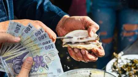 Stridiile din Marea Neagră, 100 de lei porția. Au rezistat furtunilor din iarnă