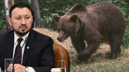 Ministrul Mediului, Mircea Fechet, declarații după atacul ursului din Predeal: Relocarea și alungarea nu fac nimic altceva decât să mute problema într-o altă localitate