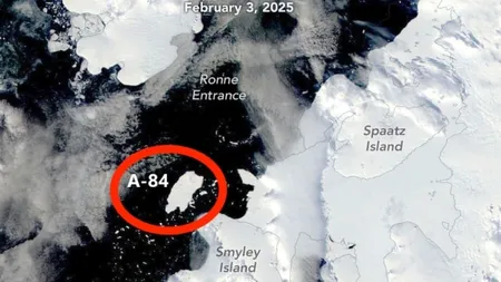 Un aisberg desprins din Antarctica a dezvăluit un ecosistem unic. A fost ascuns timp de peste 100 de ani