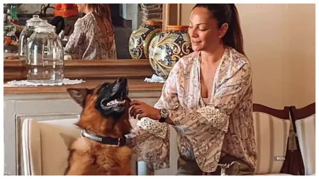 Un ciobănesc german are o avere de peste 463 de milioane de euro. Cum a reușit să intre în posesia sumei record