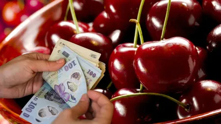 Prețul cireșelor în martie 2025. Cât vei plăti pentru un kilogram