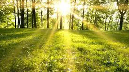 Prognoza meteo 22 martie. Peisajul de iarnă dispare. Temperaturile urcă până la 21 de grade în weekend