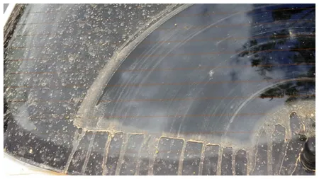 Un nou val de praf saharian se abate asupra României. Care sunt județele cele mai afectate