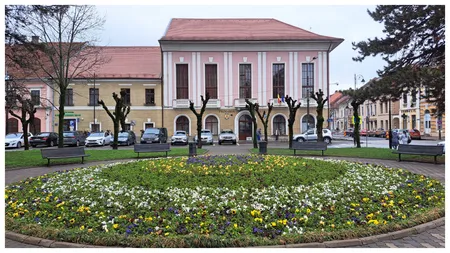 O casieriță din Primăria Bistrița a fost scutită de muncă de un doctor pentru că nu poate lucra cu banii și oamenii