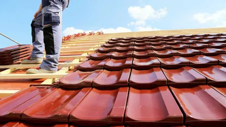 Pensionar austriac, la un pas să fie înşelat de trei români. Câţi bani au încercat să îi ia pentru că i-au reparat acoperişul