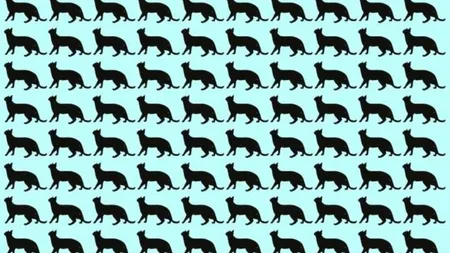 Testul IQ care te va lăsa fără cuvinte! Doar 1 din 100 de români reușește să găsească pisica ascunsă în doar 5 secunde!