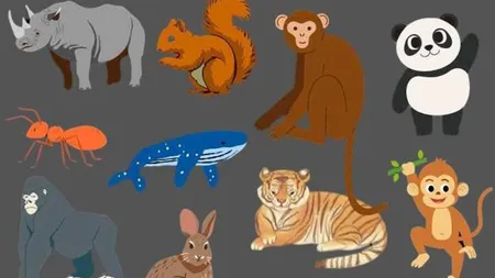 Test de logică pe care doar geniile îl pot rezolva în 33 de secunde. Care animal este diferit de toate celelalte?