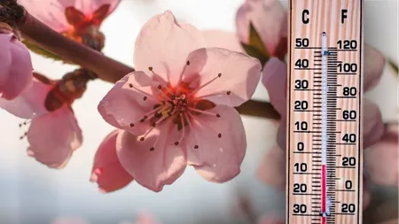 ANM anunță temperaturi de până la 20 de grade Celsius în prima săptămână din martie. Primăvară își intră în drepturi, după episodul de ninsoare și ger