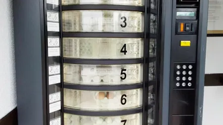 Un tânăr întors din străinătate şi-a făcut fermă și vinde ouăle de ţară la automat, cu 1 leu bucata
