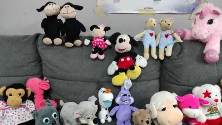 Ce spun experții despre adulții care dorm cu animale de pluș. Nimeni nu se aștepta la un asemenea verdict