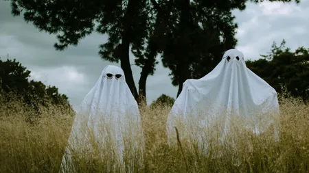 Farsă macabră în județul Vaslui. Cum s-au ales cu dosar penal șase adolescenți și tineri