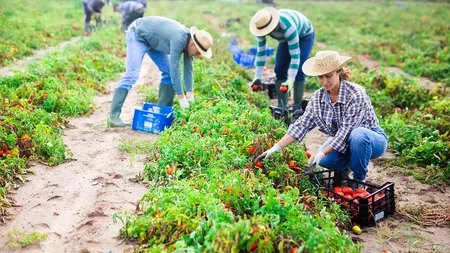Categoriile de angajați români care pot beneficia de rambursarea parțială a impozitului pe venit. Ce condiții trebuie să îndeplinească pentru a primi banii înapoi