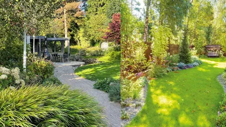 Ce plante din curte îți impun noi responsabilități dacă locuiești la casă