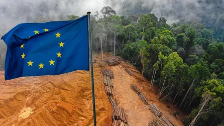 România se opune noii legi UE privind defrișările. Reguli imposibil de aplicat și risc economic major