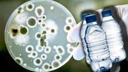 Apă plată infestată cu bacterii periculoase! Anunțul făcut de ANPC