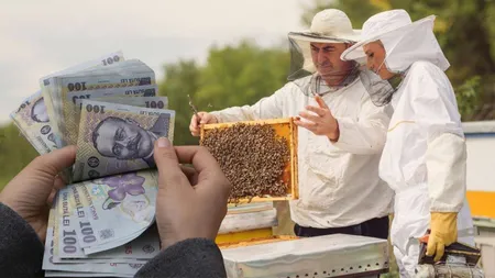 Sprijin pentru apicultori. Fonduri nerambursabile prin PNS, până la 31 iulie