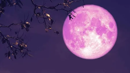 Horoscop 9 - 15 iunie 2025. „Luna Căpșunilor” aduce schimbări pozitive pentru cinci zodii norocoase