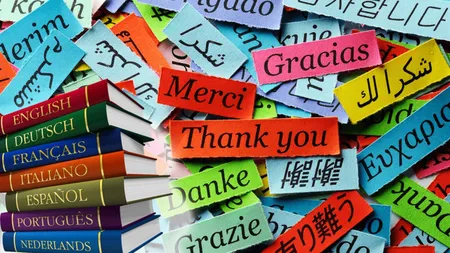 A doua cea mai studiată limbă străină în România. A depășit franceza și germana