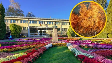 A luat foc cea mai mare grădină botanică din România, „Anastasie Fătu” din Iași
