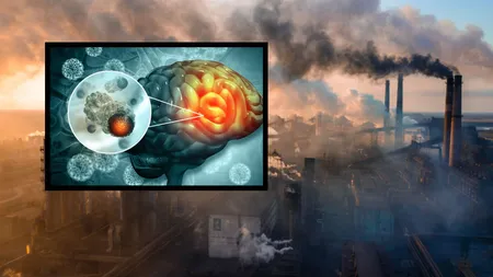 Poluarea aerului, asociată cu riscul crescut de tumori cerebrale. Ce arată un nou studiu european