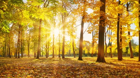 Prognoza ANM până la mijlocul lui noiembrie. Toamnă neobișnuit de caldă și puține ploi în toată țara