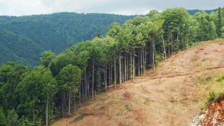 Omenirea a consumat resursele anului în doar șapte luni. Ziua în care s-au epuizat resursele naturii din 2025