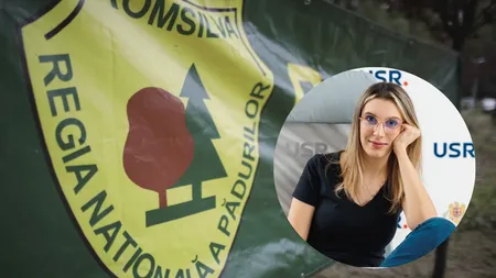 Silvicultorii ies din nou în stradă. Protest față de reorganizarea Romsilva