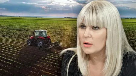 ANAF scoate la licitație 40 de hectare de teren deținute de Elena Udrea. Prețul de pornire este de 1,9 milioane de lei