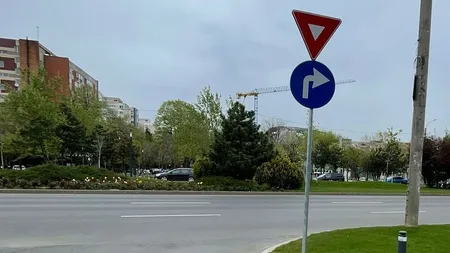 Firmă cu un singur angajat, în vârstă de 79 de ani, contract de 800.000 de lei cu o companie a Primăriei Capitalei