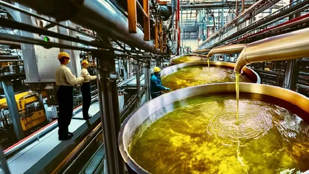 O nouă fabrică urmează să se deschidă în România în următorul an. Investiția se ridică la 20 de milioane de euro