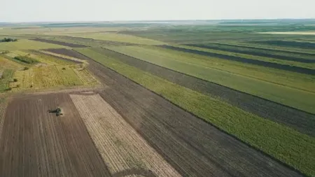 Cine deține Insula Mare a Brăilei, locul care produce cele mai mari recolte din România. Produsele ajung în străinătate, niciodată pe piața internă