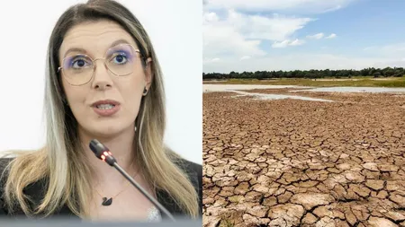 Diana Buzoianu propune un program național de împăduriri: 100.000 de hectare din România au devenit deșert