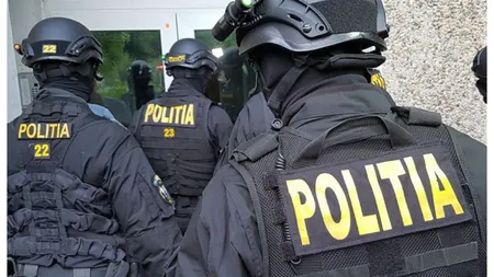 Percheziții de amploare la o firmă care se ocupa de strângerea maidanezilor de pe străzi. Societatea ar fi încasat bani publici pentru eutanasieri inexistente